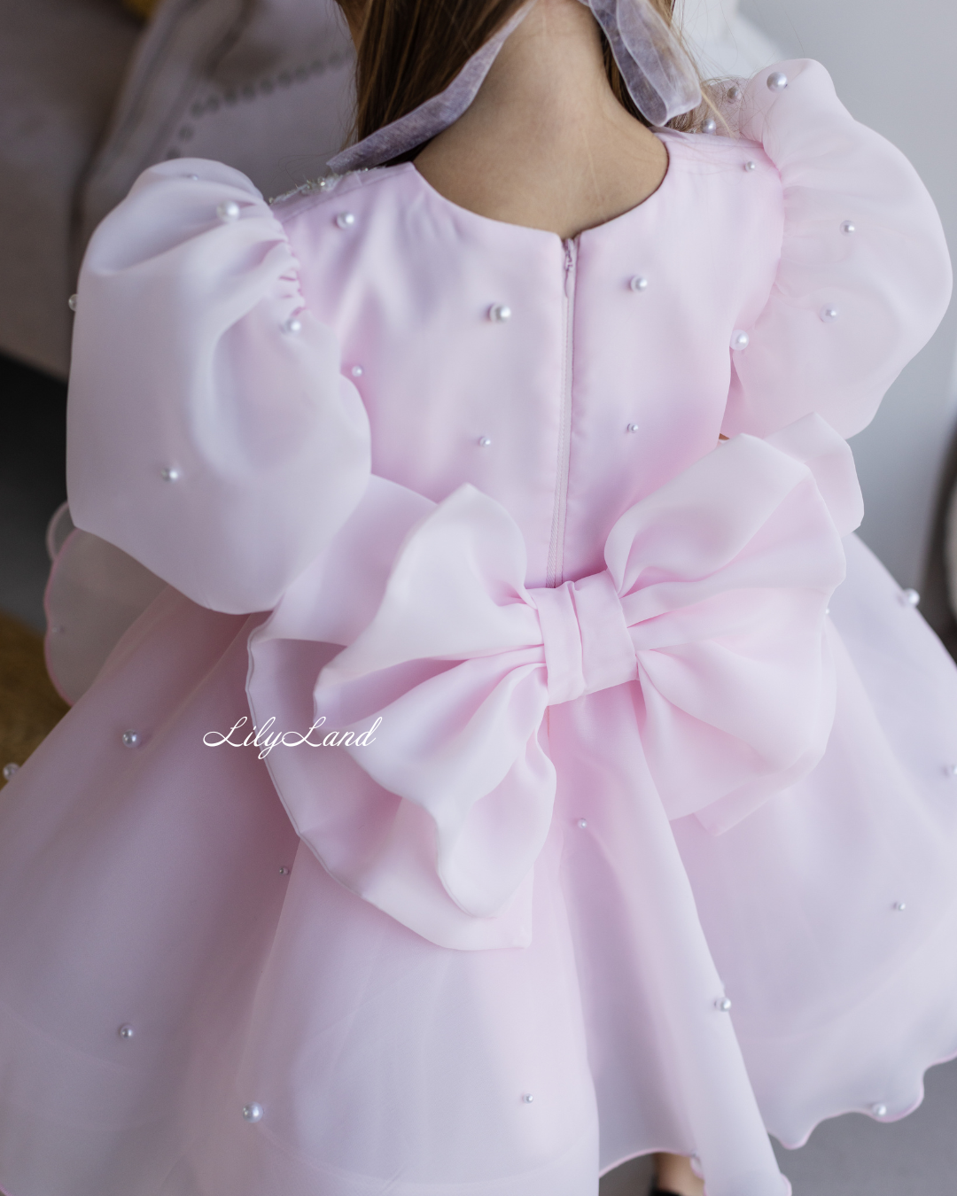 Mia Baby Girl Dress with Floral Appliqué in Light Pink