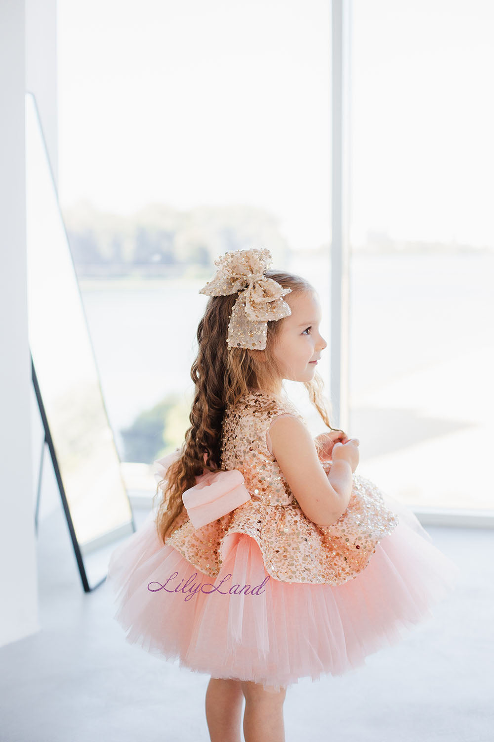Nancy Tutu Girl Dress in Gold and Blush Pink