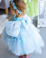 Fifi Baby Girl Dress in Sky Blue with Attached Flowers