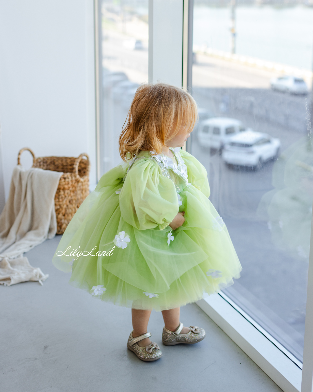 Fifi Baby Girl Dress in Lime with Attached Flowers