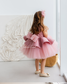 Nancy Tutu Glitter Girl Dress in Dusty Rose