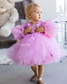 Fifi Baby Girl Dress in Hot Pink with Attached Flowers