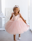 Judy Sparkling Tulle Sleeveless Girl Dress in Peach