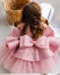 Nancy Tutu Glitter Girl Dress in Dusty Rose