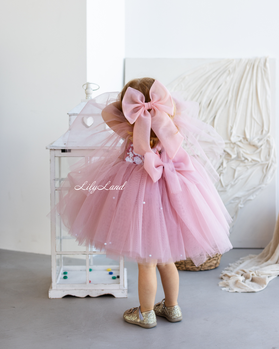 Chantal Baby Girl Dress in Dusty Rose with Detachable Sleeve