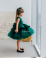 Nancy Tutu Glitter Girl Dress in Emerald Green