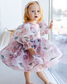 Cheryl Puffy Girl Dress in Floral Pattern with Long Sleeves