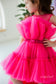 Barbie Tutu Girl Dress in Hot Pink with Train