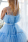 Barbie Tutu Girl Dress in Blue