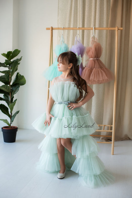 Barbie Tutu Girl Dress in Mint with Train