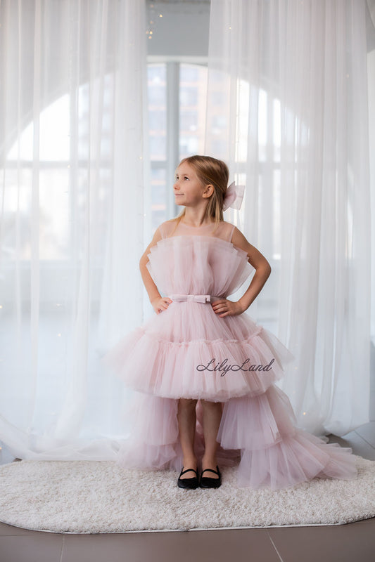 Barbie Tutu Girl Dress in Blush Pink with Train