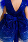 Natalie Sparkling Tutu Girl Dres with Feather Sleeves in Royal Electric Blue