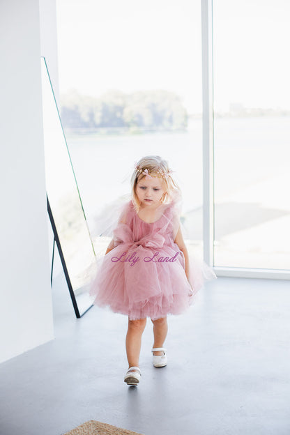 Frida Tulle Baby Girl Dress in Tea Rose