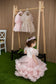 Cloud Girl Fluffy Dress in Light Pink with Feathers Sleeves