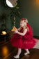 Nancy Tutu Girl Dress in Burgundy