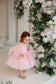 Wendy Tutu Girl Dress in Light Pink