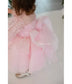 Wendy Tutu Girl Dress in Light Pink