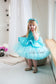 Nancy Tutu Girl Dress in Turquoise