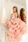Rosalyn Girl Dress in Blush Pink with Long Train