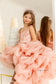 Rosalyn Girl Dress in Blush Pink with Long Train